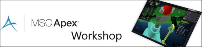 Workshop MSC Apex Workshop MSC Apex